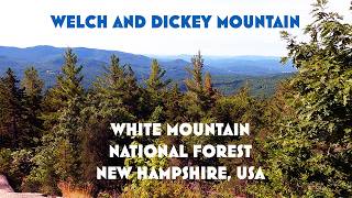 One of the Best Hikes in New Hampshire! One of the Best Hikes in New Hampshire!