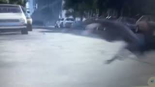 Mittens Gets Bumped Into A Mailbox With Acer Scream From Cars 2