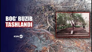 FUQARONING UZOQ YILLAR YARATGAN BOGʻI BUZIB TASHLANDI