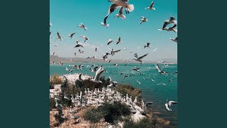 Coastal Melodic Bliss