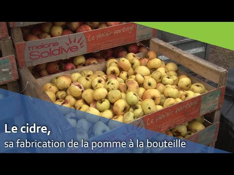 Vidéo: Cidre De Pomme épicé Au Chai