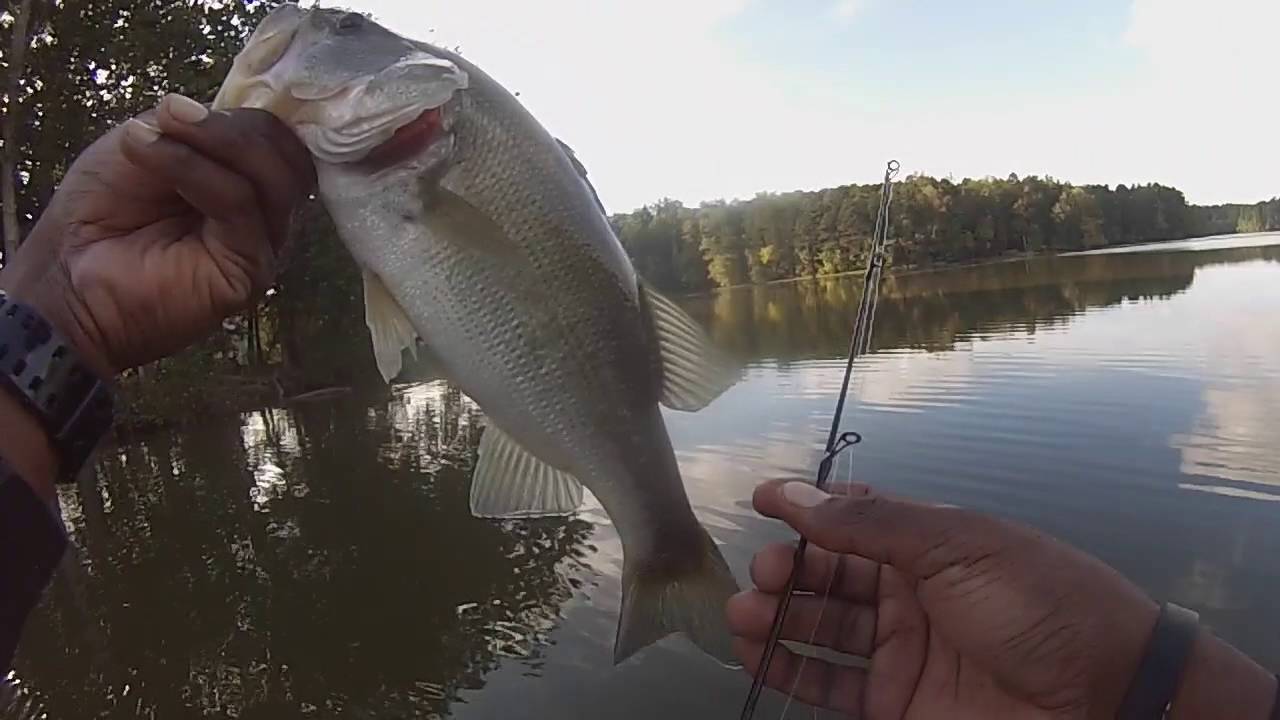 High Point City Lake ,NC