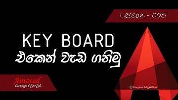 AutoCAD Course (Sinhala) - Lesson 005 - Keyboard Controls