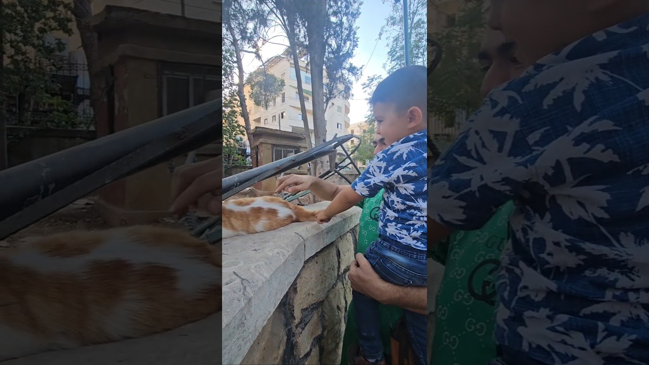 آدم بدو يشوف القطة🐈#هبوش #فاميلي #بلال #آدم #haboshfamily