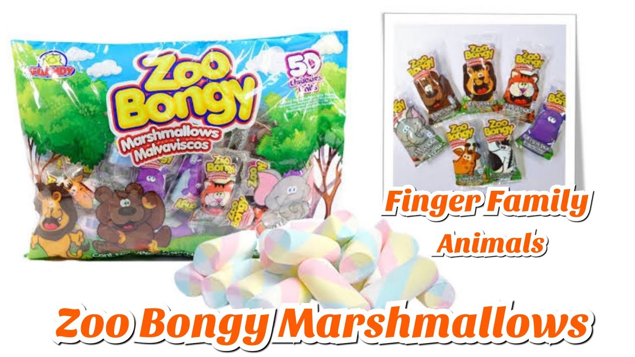 Finger Family with Zoo Bongy Marshmallow YouTube