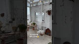 우호적 무관심 영상