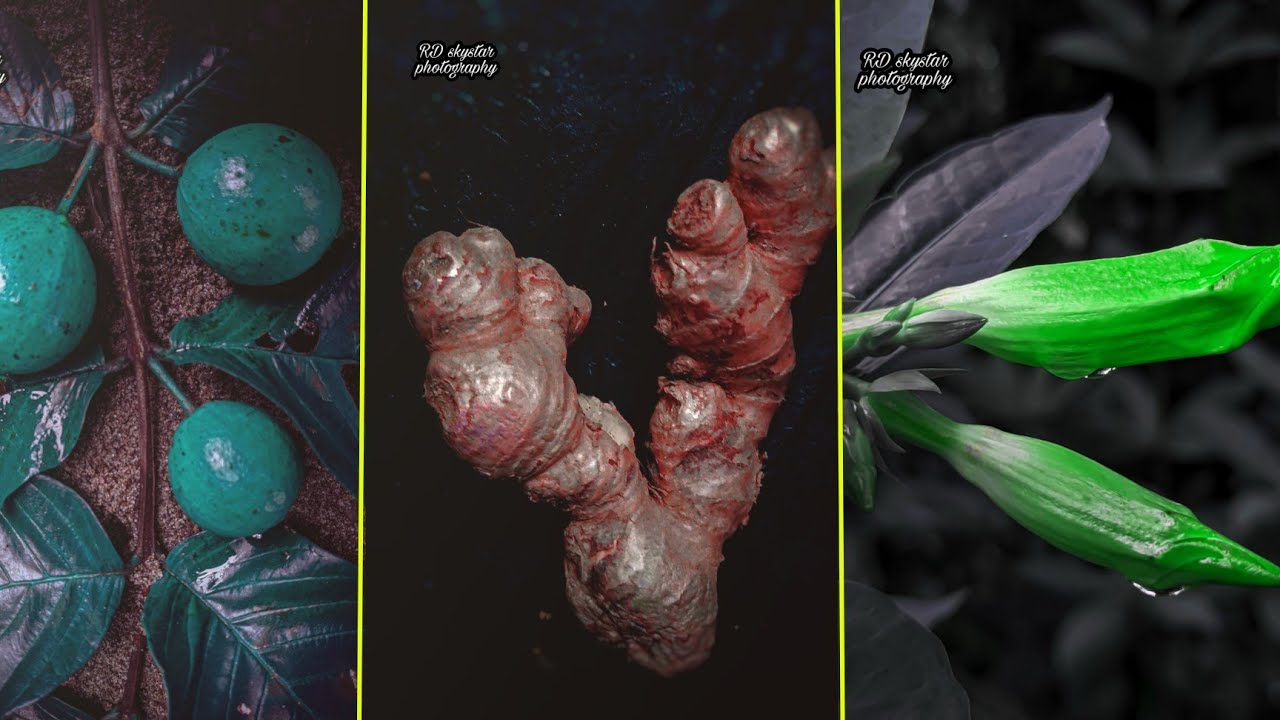 3 types mobile photography in home || use for instagram || Skystar photography