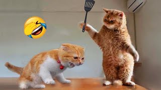 Funniest Cats and Dogs Videos ? Best Funny Animal Videos 2024 ? Part 7