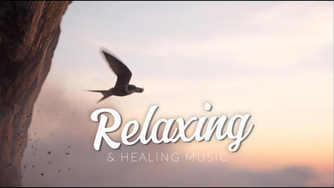Relaxing Music for Sleep & Focus | Calm Your Mind, Study with White-collared Swifts