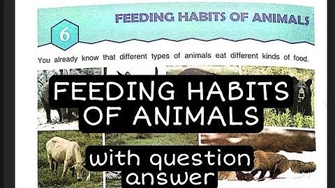 Feeding Habits of Animals Chapter-6 class- 3rd science With Q/A  DAV School by GOOD NICE 🎯