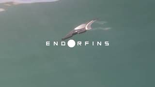 Endorfins | KSBoardriders.com Surf Shop