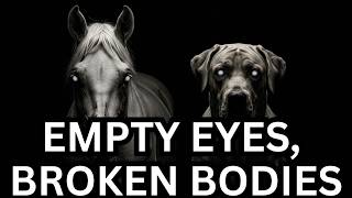 America’s Most Inbred Animals: Shocking Cases of Genetic Deformities