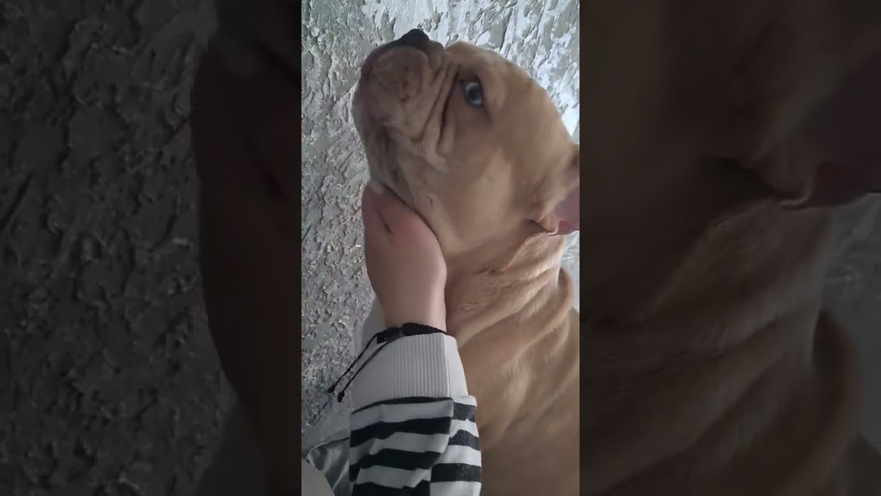 Не буду извиняться! 😂      