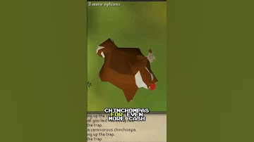 AI Farming Bot Makes Bank: 300K GP/Hr in This Game! #shorts