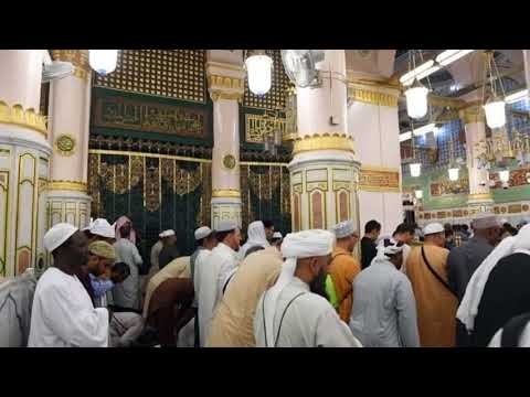 يا زائرين رسول الله سيدنا النيى فى الروضة حى عليه الصلاة والسلام