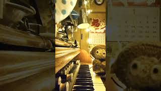 Little monkey plays the organ