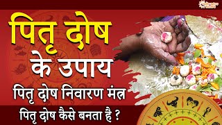 पितृ दोष कैसे बनता है। पितृ दोष निवारण का उपाय | Pitra Dosh Kaise Banta Hai | Pitra Dosh Ke Upay