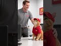 From Paws to Promotions: The Story of Oliver the McDonald's Cat