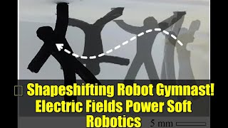 勞 Shapeshifting Robot Gymnast! Electric Fields Power Soft Robotics