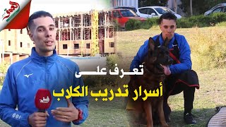 يروض كلابا بوليسية.. ياسين من مراكش يتحدث عن تجربته في تدريب الكلاب وهذه نصائحه لتعامل آمن معها