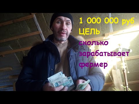 сколько зарабатывает фермер. поддержка развития фермерского хозяйства. сколько зарабатывает фермер. средняя зарплата в 2015. фермер заработок.