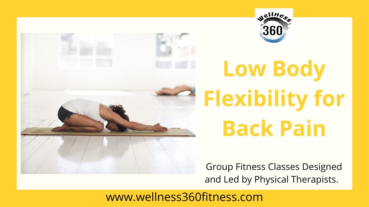 How to improve your back pain with flexibility - YouTube