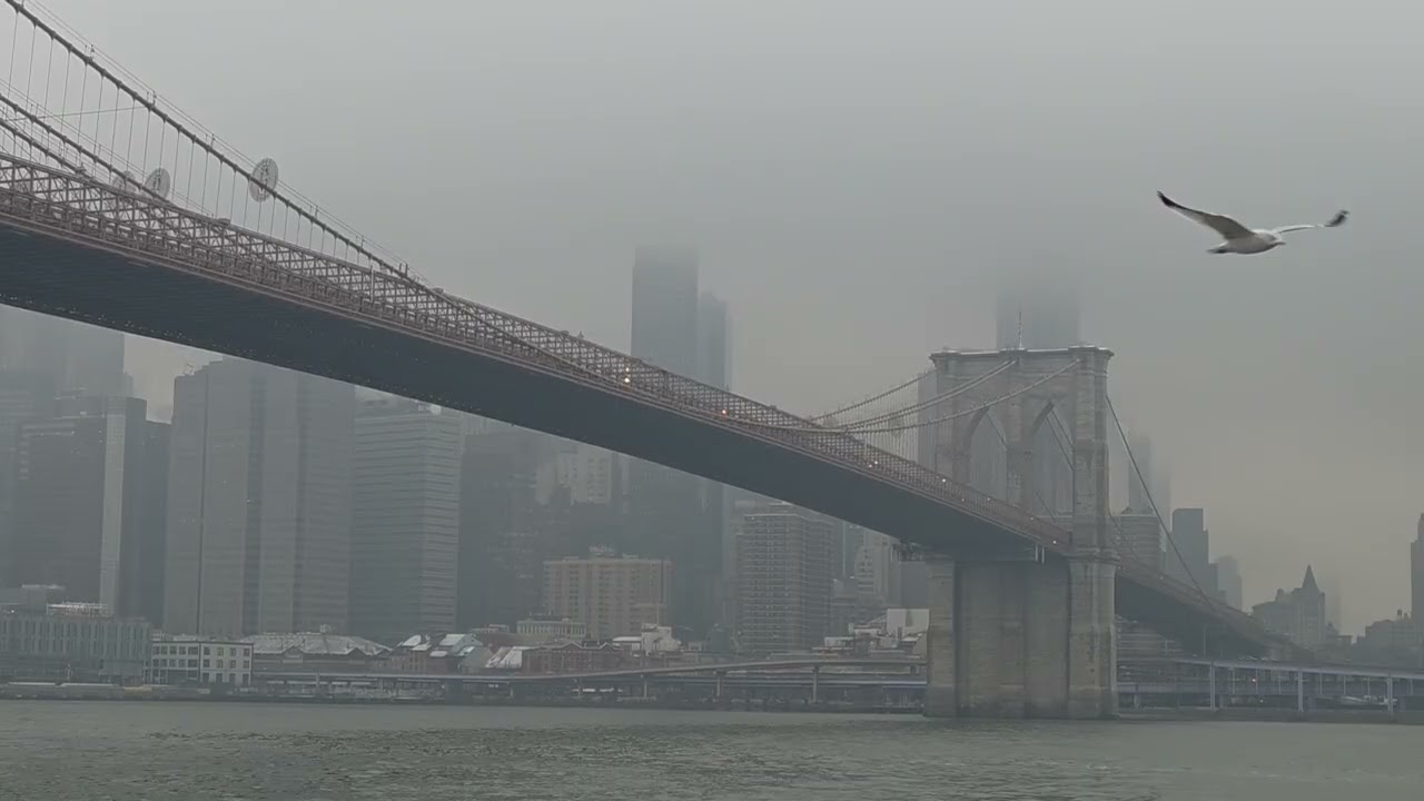 Snowy day in New York looking over the Brooklyn Bridge