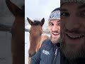 STOP HORSIN' AROUND WITH YEAR END GIVING! 😂 🤠