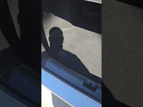 Mobile Auto Interior Detailing Near Me