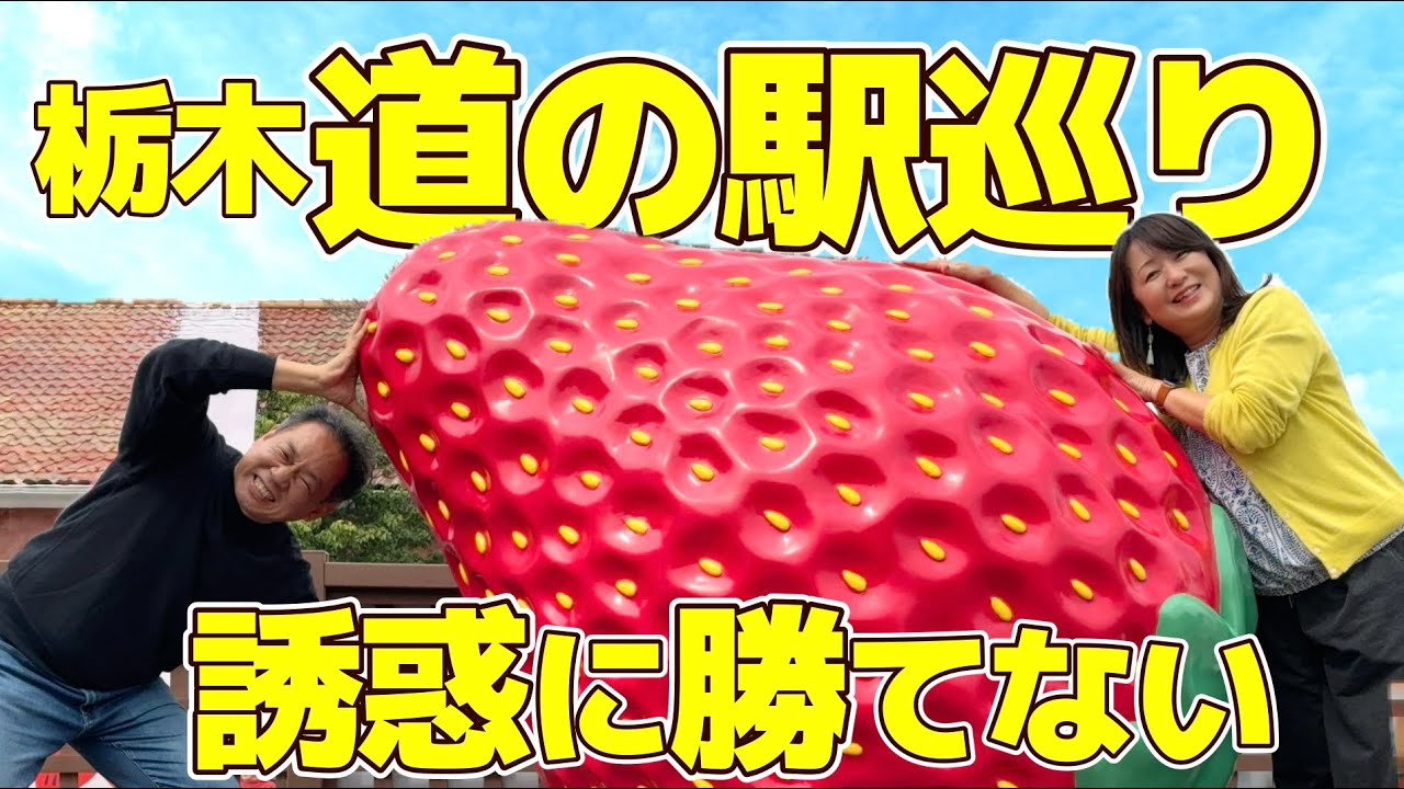 【栃木旅】道の駅全制覇！　キャンピングカーで車中泊