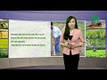 Thời tiết nông vụ 16/12/2018: Cách giảm thiểu thiệt hại trên hoa màu ở miền Trung | VTC14