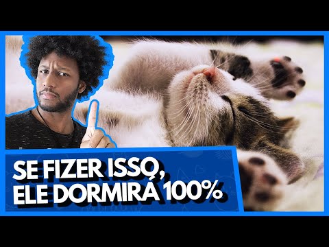 Vídeo: Sintomas de um cão morrendo de Parvo