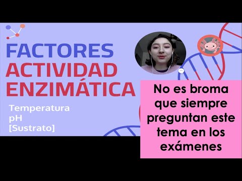 Video: ¿Por qué aumenta la actividad enzimática a altas temperaturas?