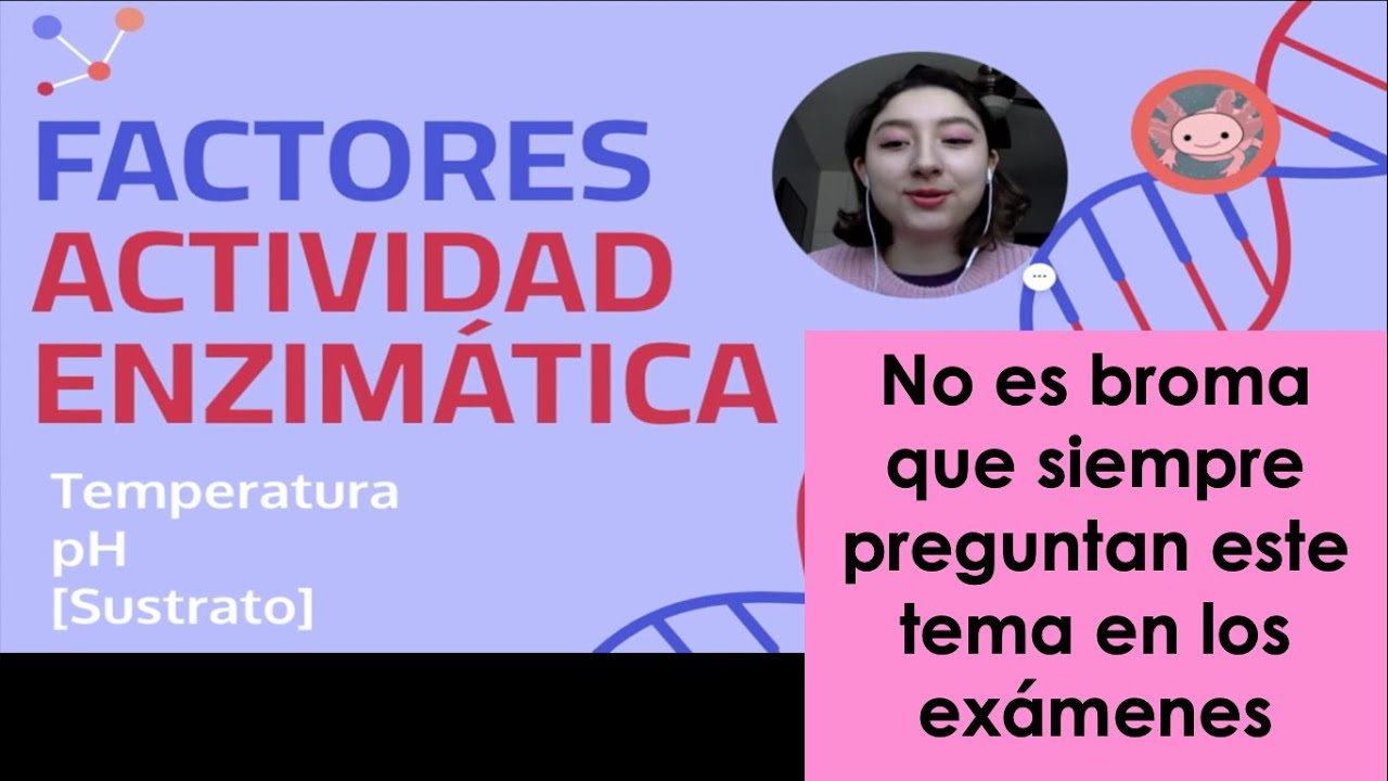 ENZIMA, SUSTRATO Y SITIO ACTIVO. CATÁLISIS ENZIMÁTICA. MODELO LLAVE -  CERRADURA Y AJUSTE INDUCIDO. - YouTube