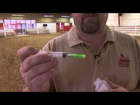 How to Give Medication to Goats