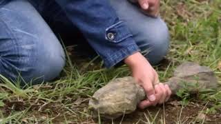 Transformation Ultraman Geed Ultimate Final Sub indo