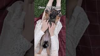 EntirelyPets Pharmacy | Trusted Pet Meds &amp; Supplies