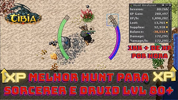 [TIBA] Melhor Hunt Para MS Solo lvl 80+  1KK XP/hr  #tibiaglobal #tibia #rushando