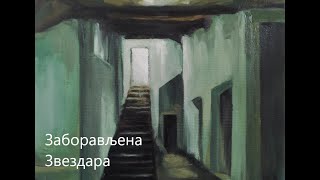 Zaboravljena Zvezdara