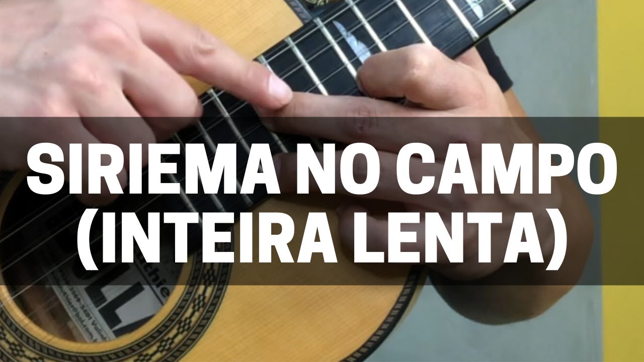 Siriema no Campo INTEIRA E LENTA PARA ESTUDO (Pt. 2 da aula)