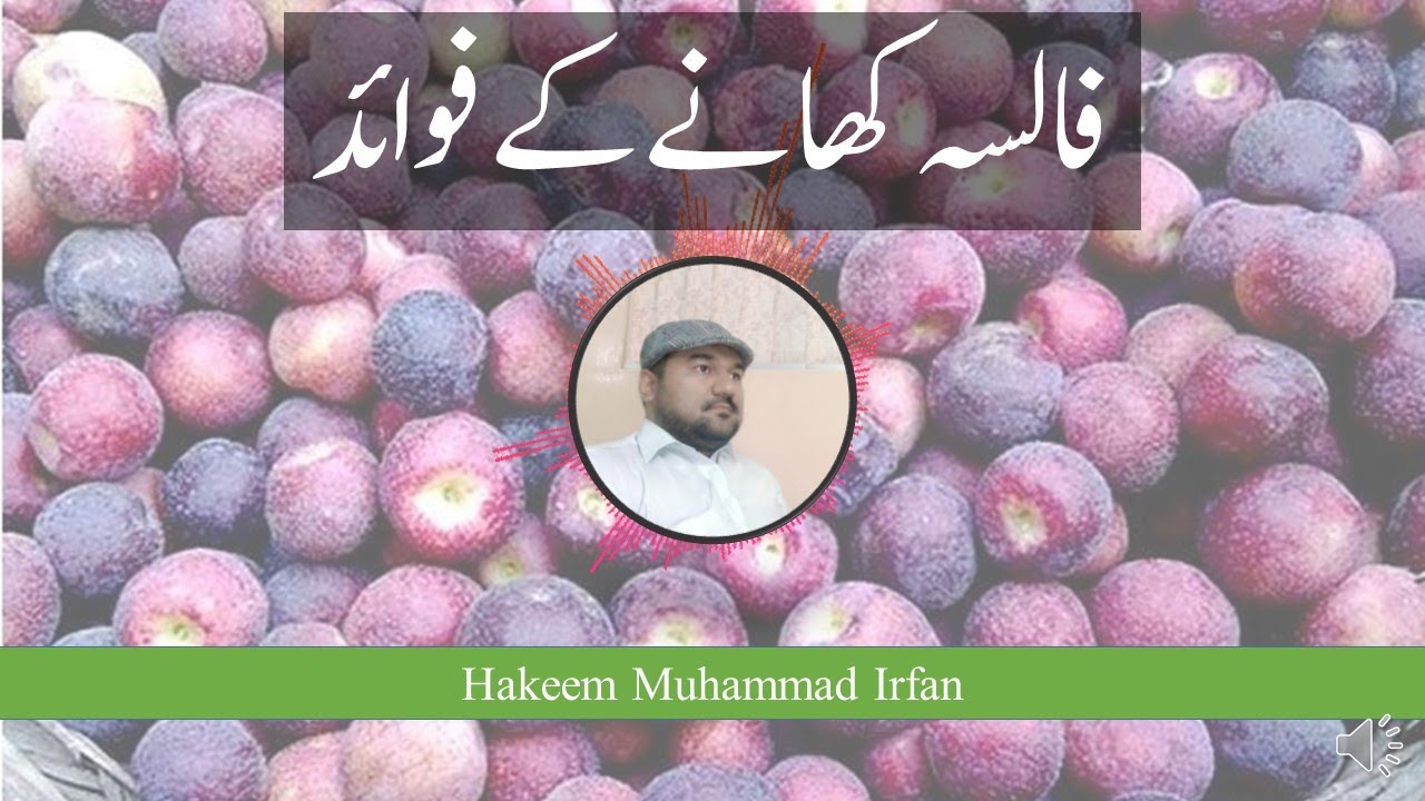 Falsa ke fawaid | Grewia asiatica | False ke fayde | Sherbet Berry