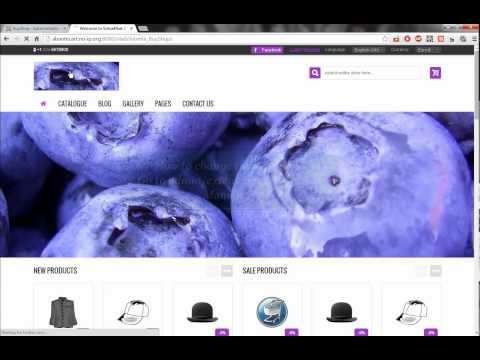 BuyShop Joomla theme - customization video manual