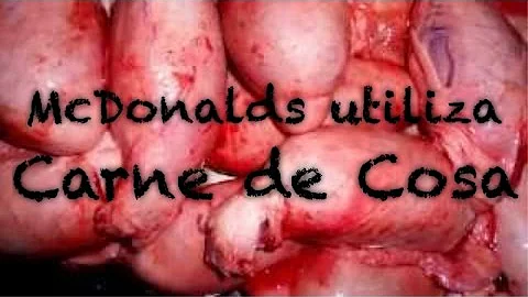Cosa c'è nel cibo del McDonald's?