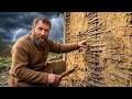 What Was a Torchis? The Medieval Mud Wall That Survived a Storm