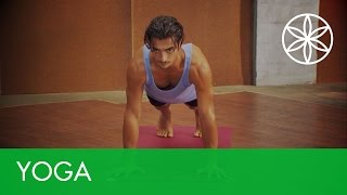 Chatarunga | Vinyasa Pose Series | Gaiam @gaiam