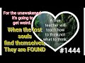 What is about to be discovered - The calm before the Storm