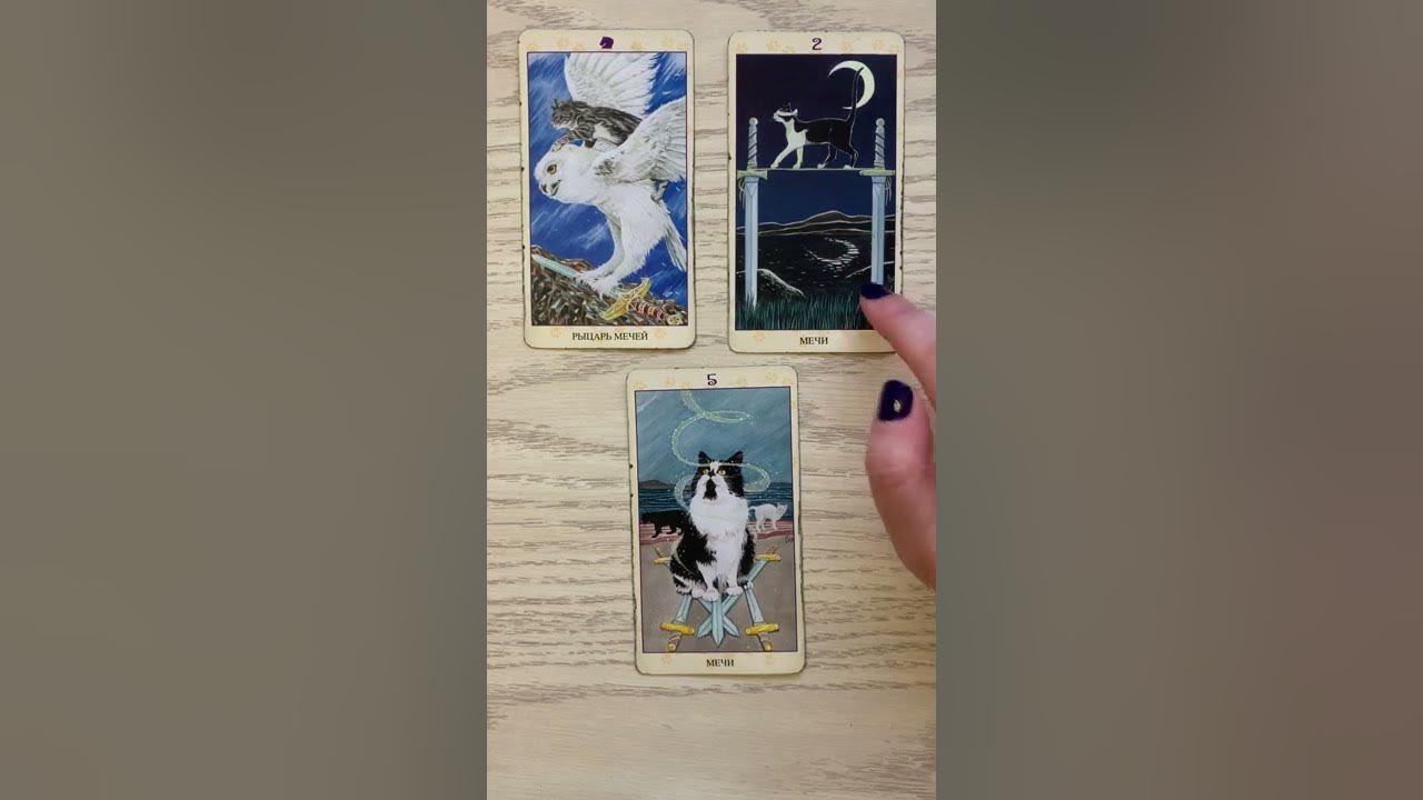 Карты "таро". Карта таро скорпион. Таро зодиака. Знаки зодиака в таро. Карта дня таро расклад.