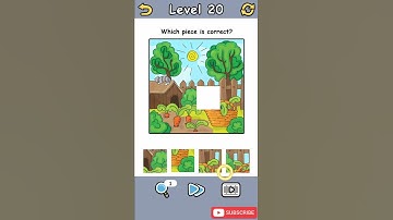 Brain Crack Level 20 Which piece is correct Walkthrough