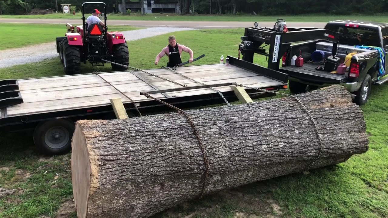 Loading huge red oak log