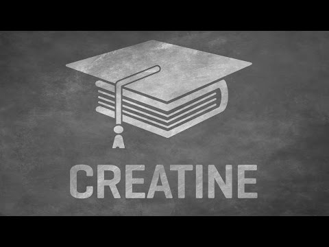 Creatine Explained | What Is It, What Does It Do & How To Take It